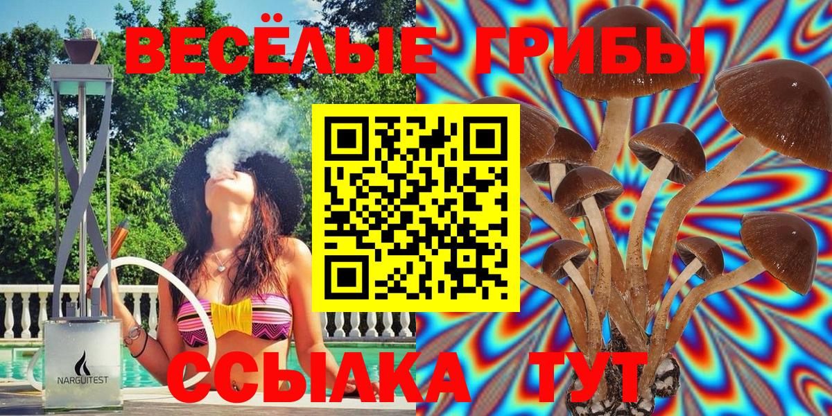Псилоцибиновые грибы Psilocybine cubensis Коломна