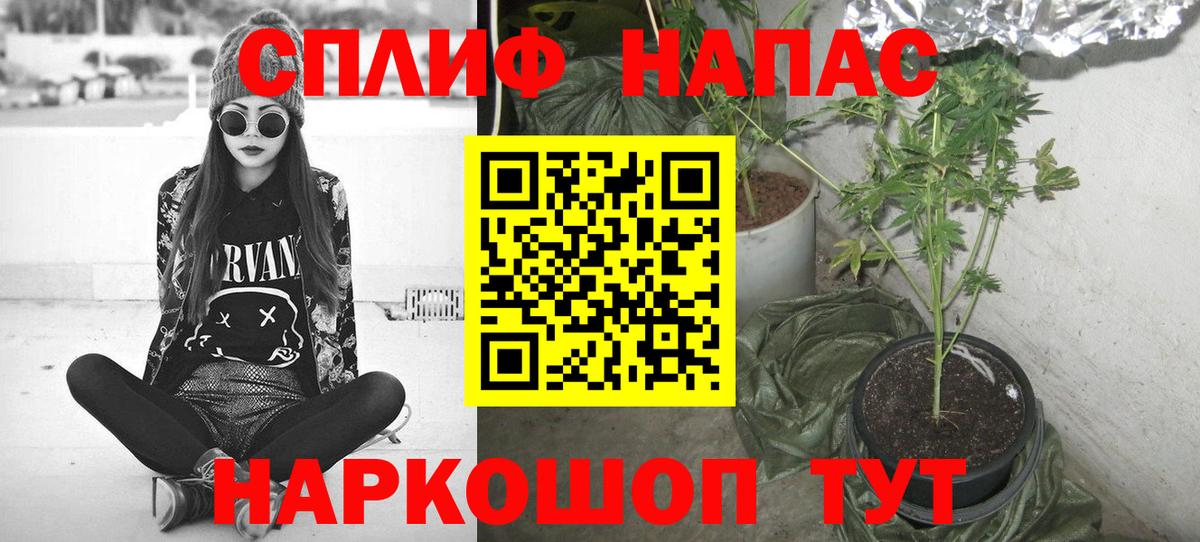 МАРИХУАНА ГИДРОПОН Коломна